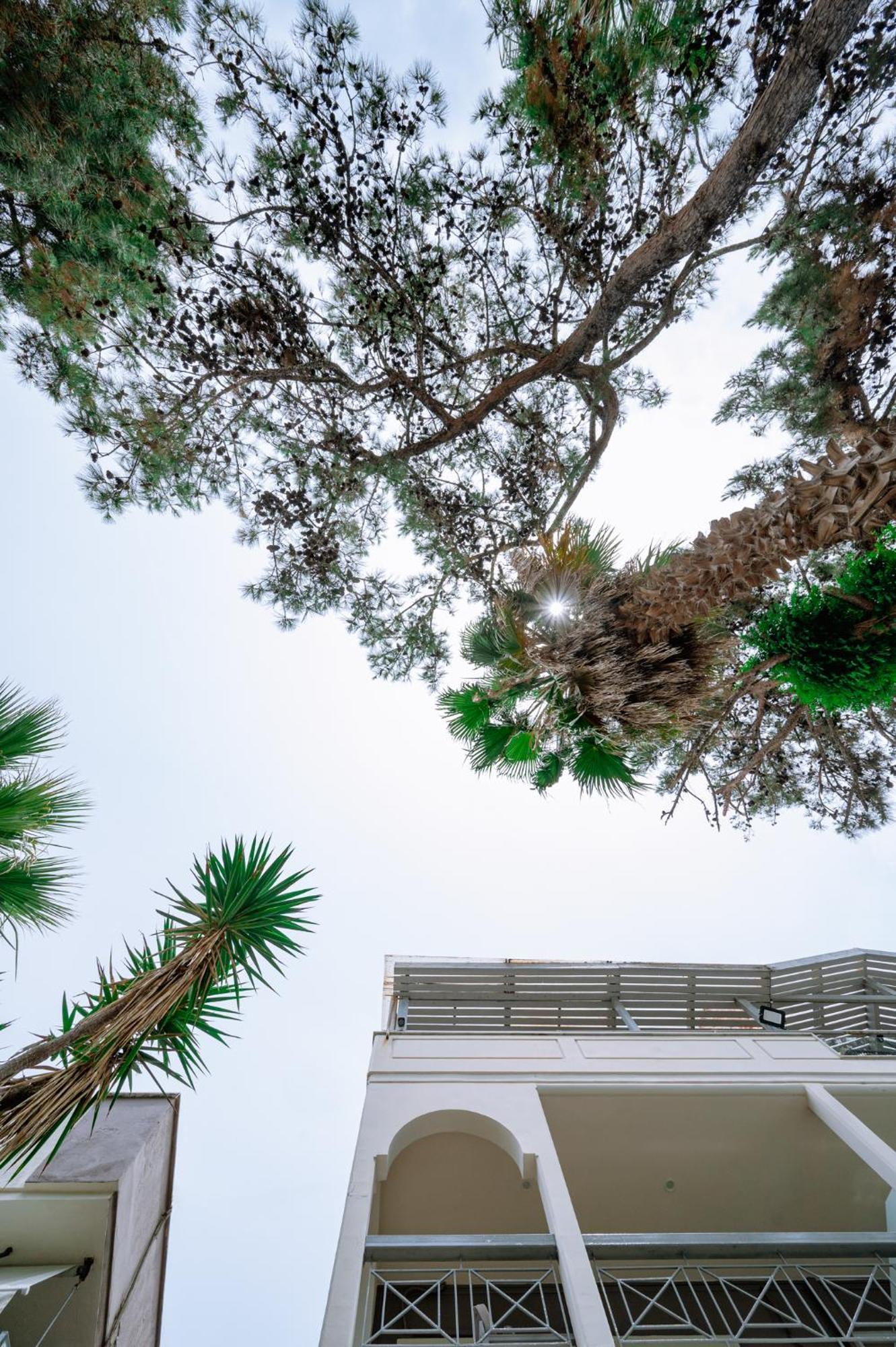 Apartamento Ktima Papaoikonomou Potos Exterior foto